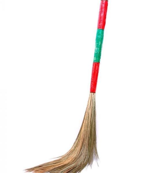 Planet Grass Broom (Ful Jharu)