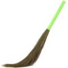 Planet Grass Broom (Ful Jharu)