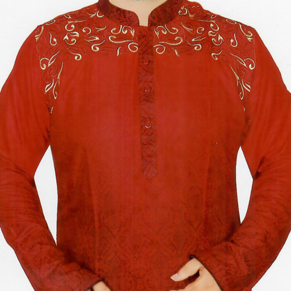 Remarkable design and embroidery work Punjabi